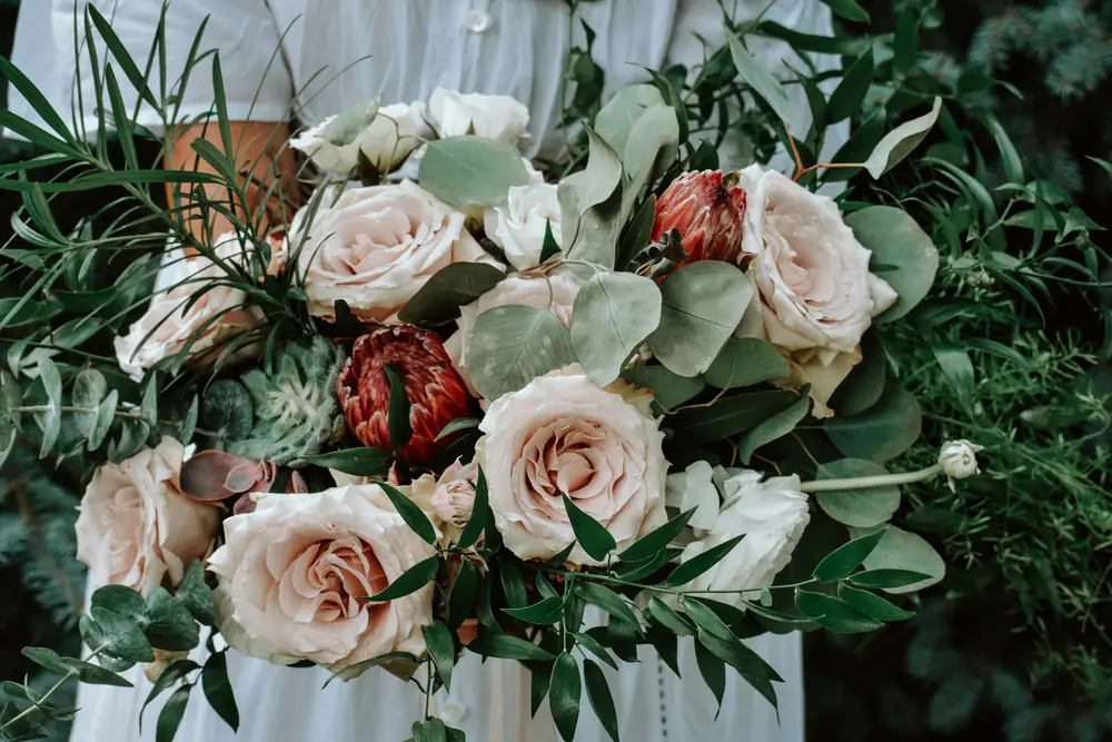Blush garden roses and protea gathered with eucalyptus and fresh greenery