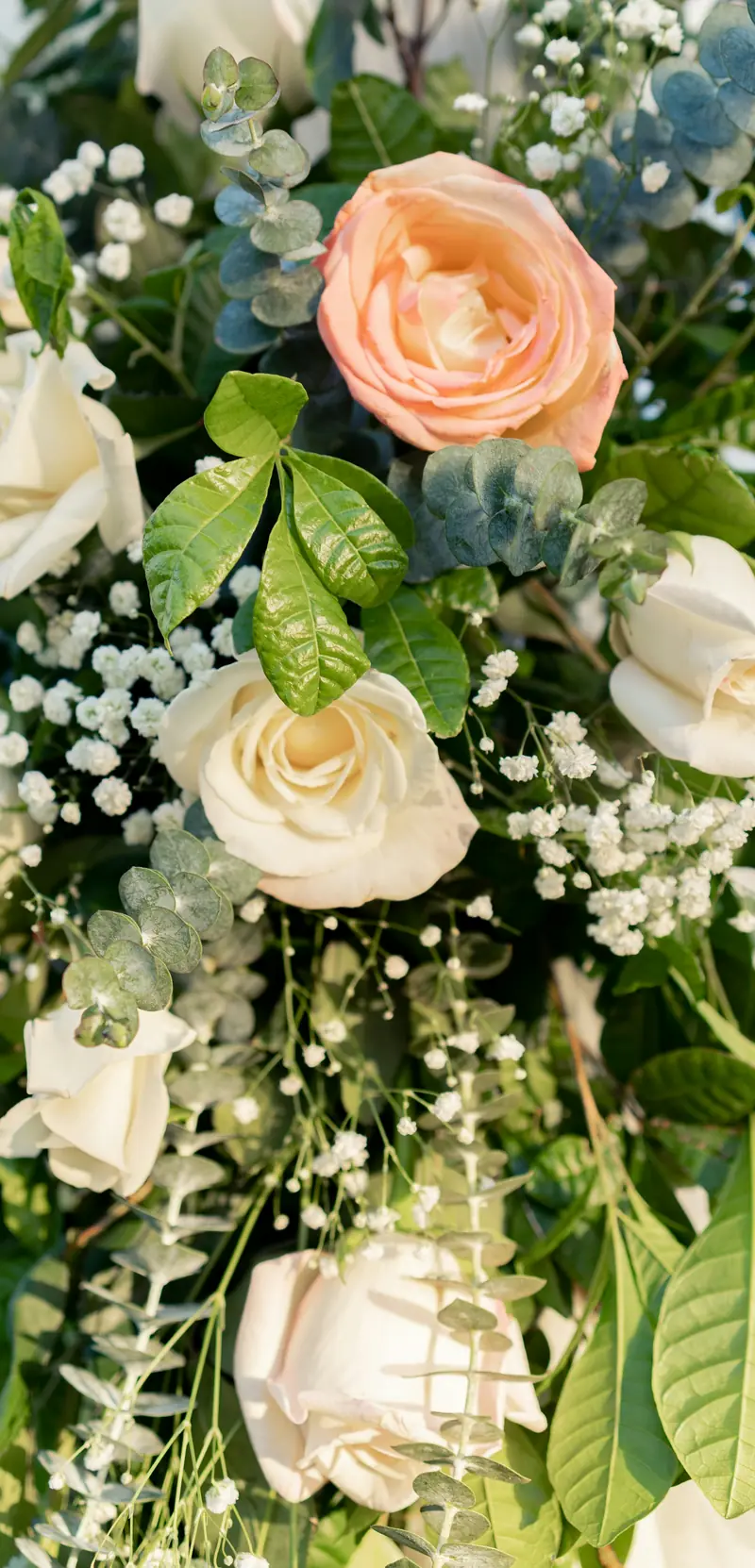 Ivory and peach roses with gypsophila and greenery