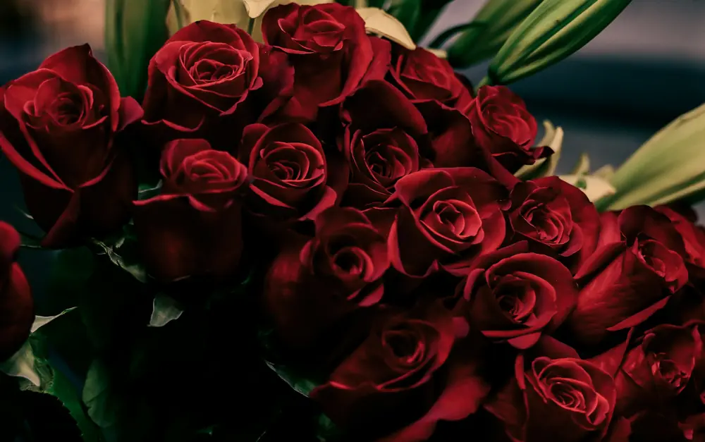 A generous bouquet of deep red roses